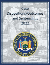 Case Dispositions Outcomes and Sentencing 2022