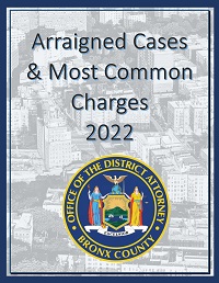 Arraigned Cases and Most Common Charges 2022